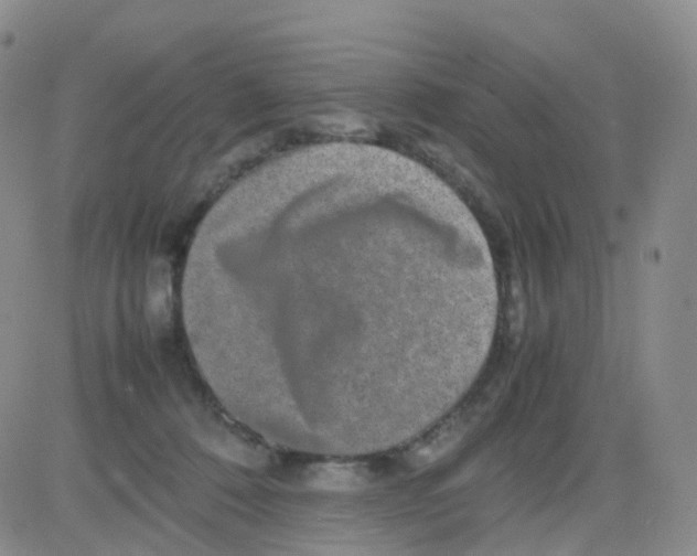 X0000082740320200702240019