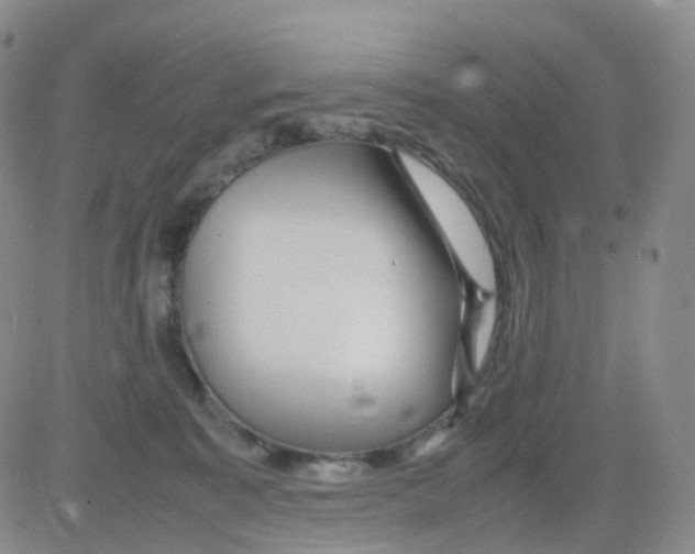 X0000082740323200702240019