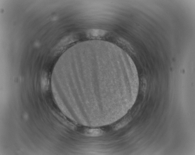 X0000082740324200702240019