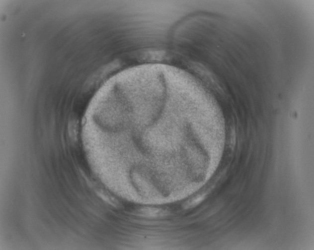 X0000082740326200702240019