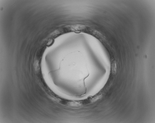 X0000082740327200702240019