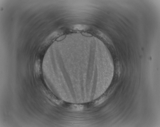 X0000082740328200702240019