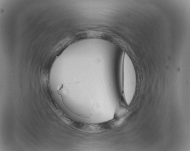 X0000082740329200702240019