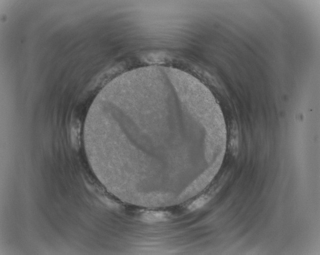 X0000082740332200702240019