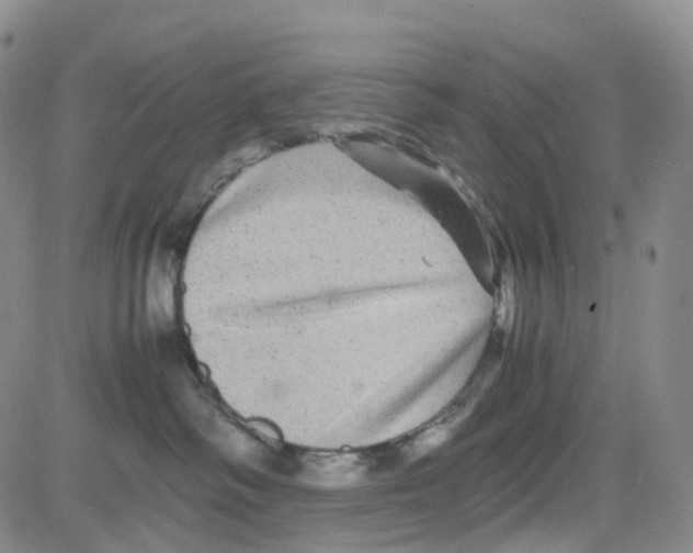 X0000082740334200702240019