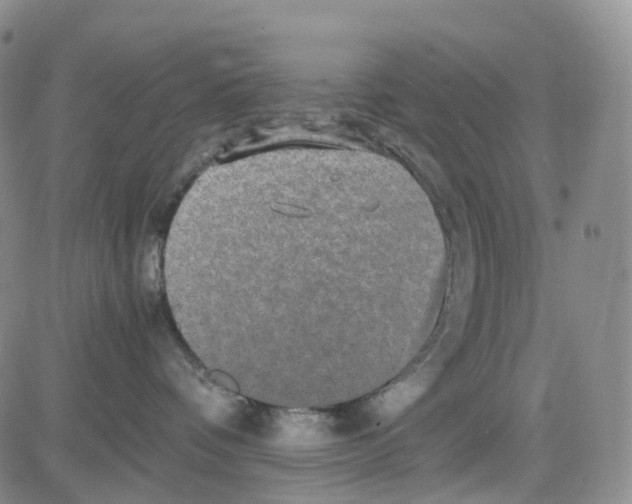 X0000082740336200702240019