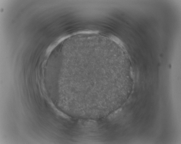 X0000082740337200702240018