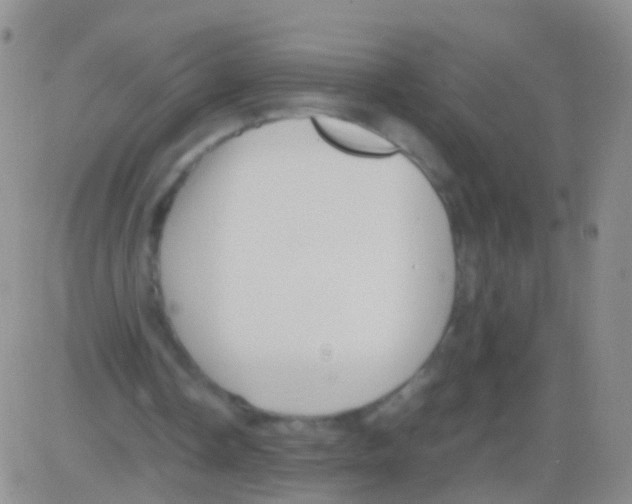 X0000082740338200702240018