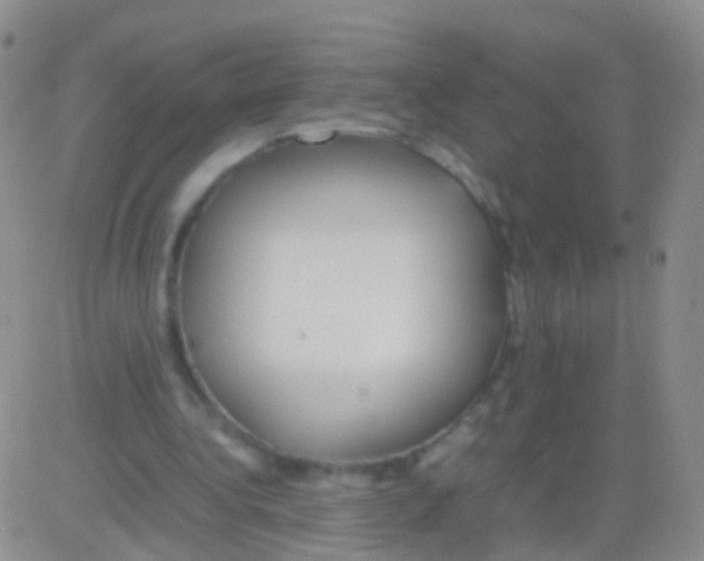 X0000082740340200702240018