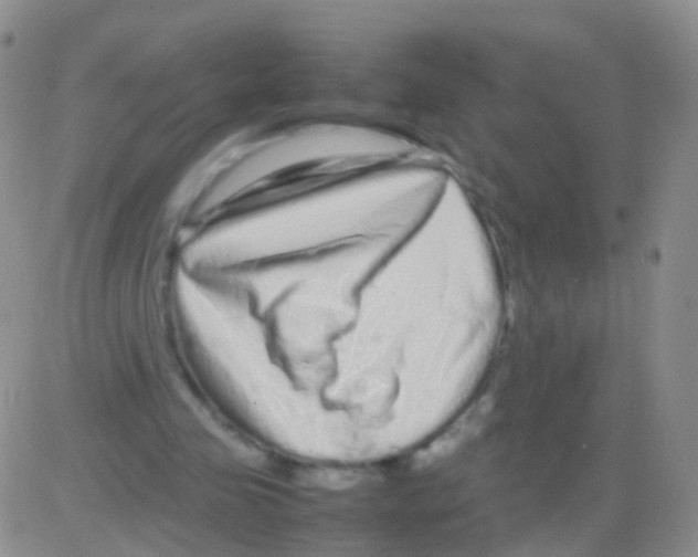 X0000082740341200702240018