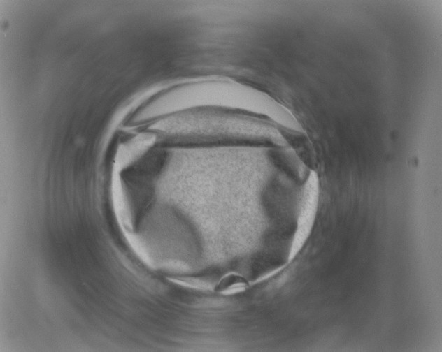 X0000082740342200702240018