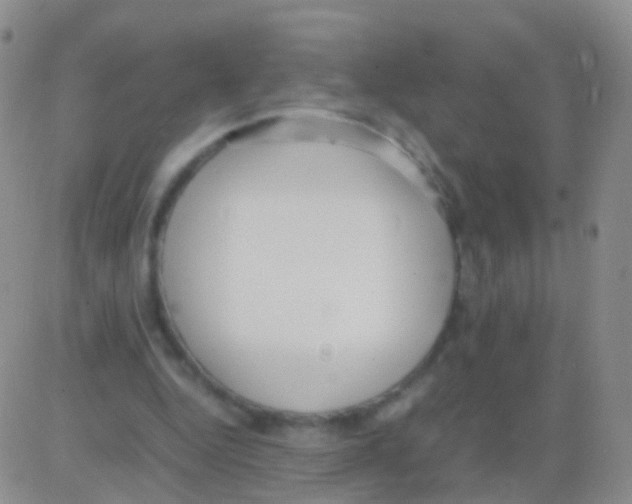 X0000082740344200702240018