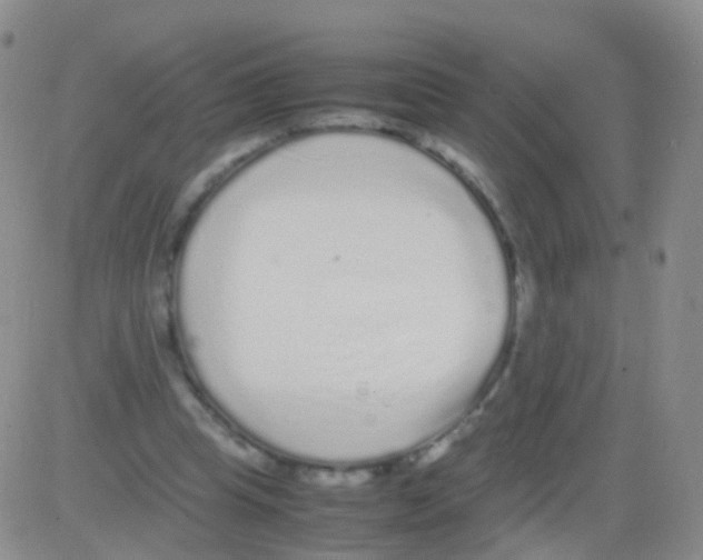 X0000082740345200702240018