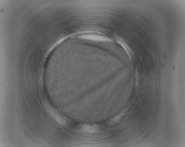 X0000082740346200702240018