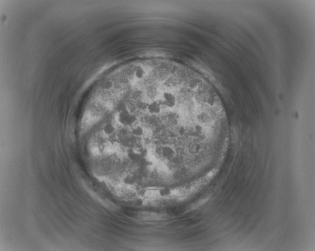 X0000082740347200702240018