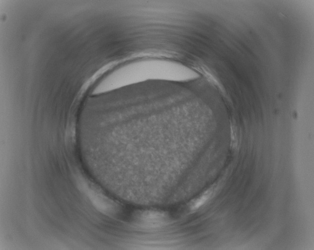 X0000082740348200702240018