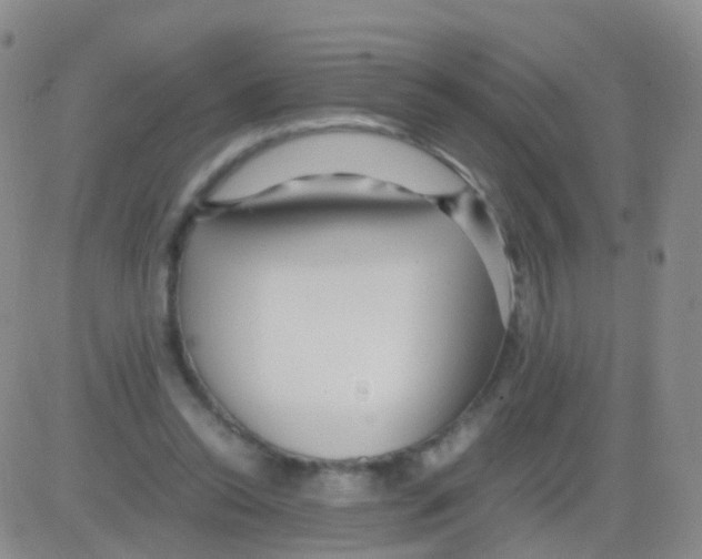 X0000082740350200702240018