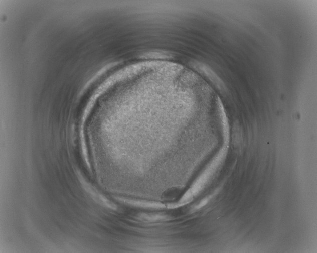 X0000082740351200702240019