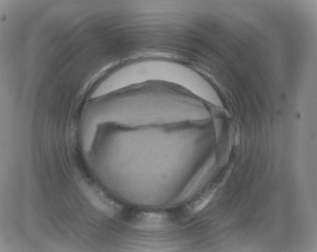 X0000082740352200702240019