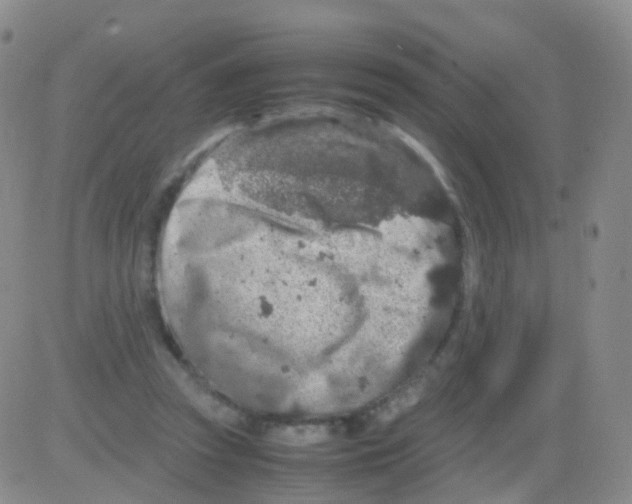 X0000082740353200702240019