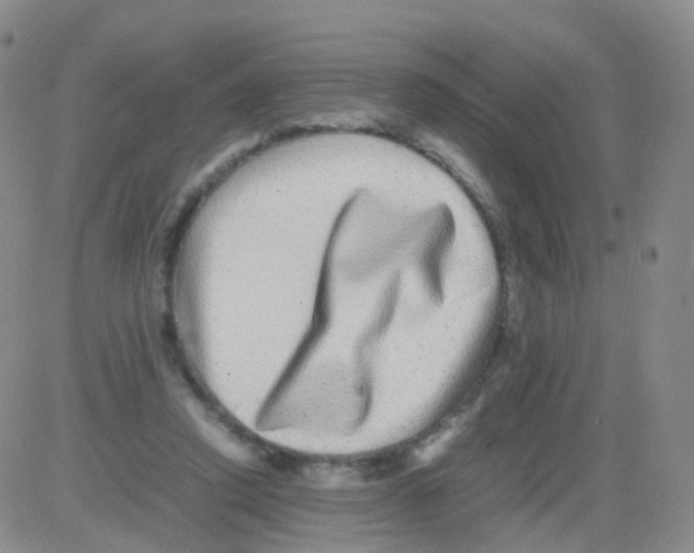 X0000082740354200702240019