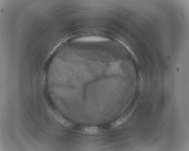 X0000082740355200702240019