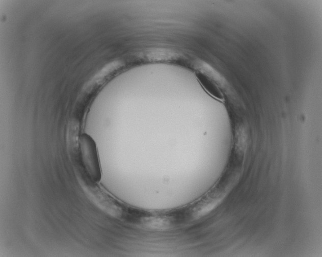 X0000082740356200702240019