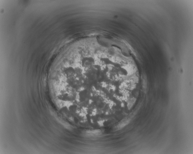 X0000082740357200702240019