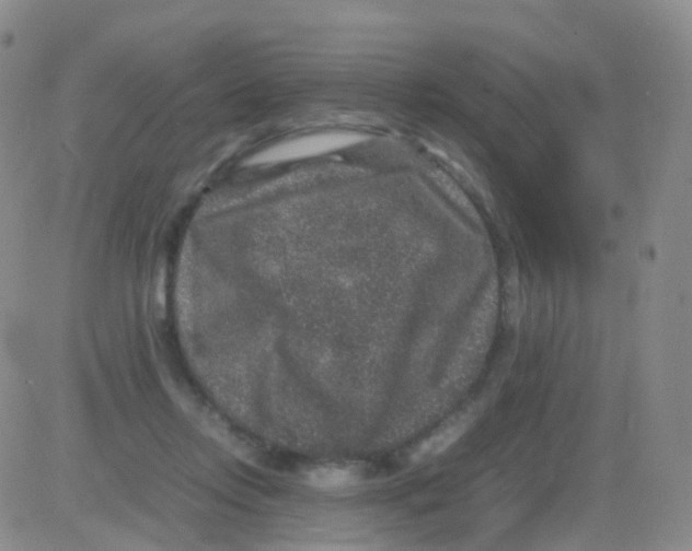 X0000082740358200702240019