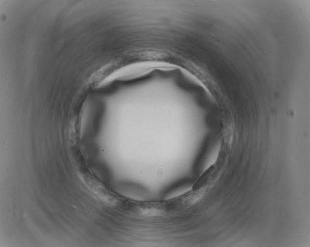 X0000082740360200702240019