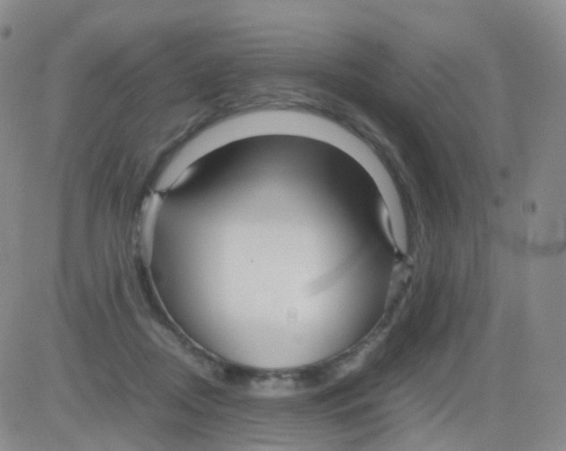 X0000082740362200702240019