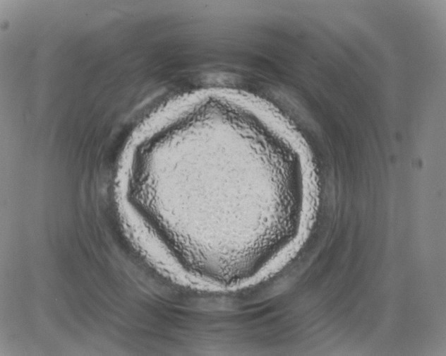 X0000082740363200702240019