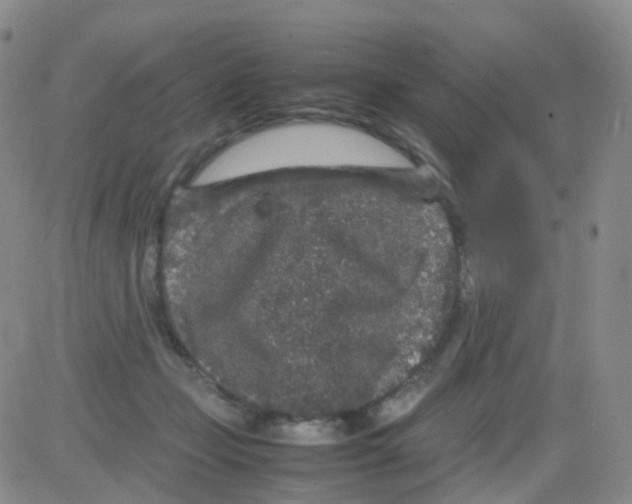 X0000082740365200702240019