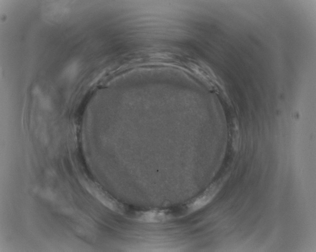 X0000082740366200702240019