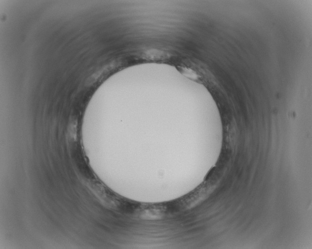 X0000082740368200702240019