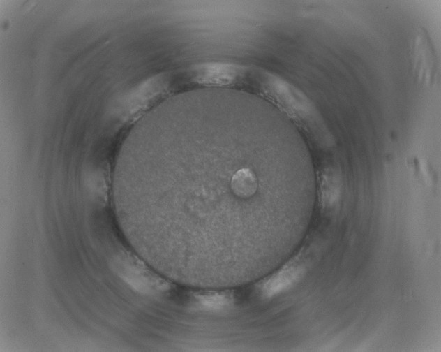 X0000082740370200702240019