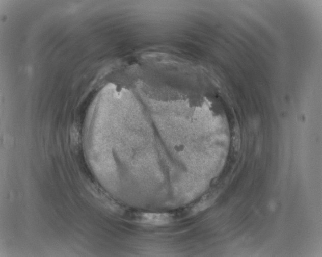 X0000082740371200702240019