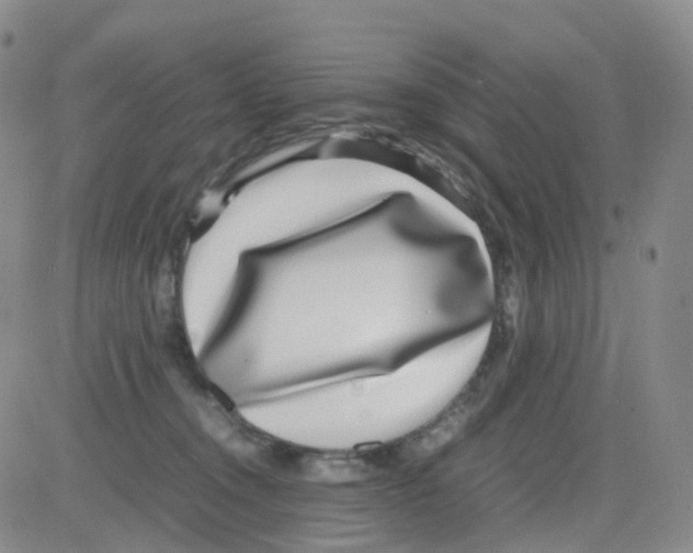 X0000082740372200702240019