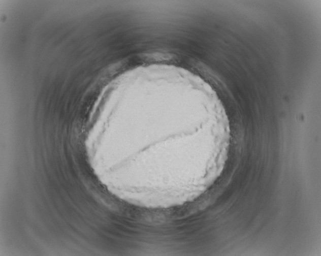 X0000082740373200702240019