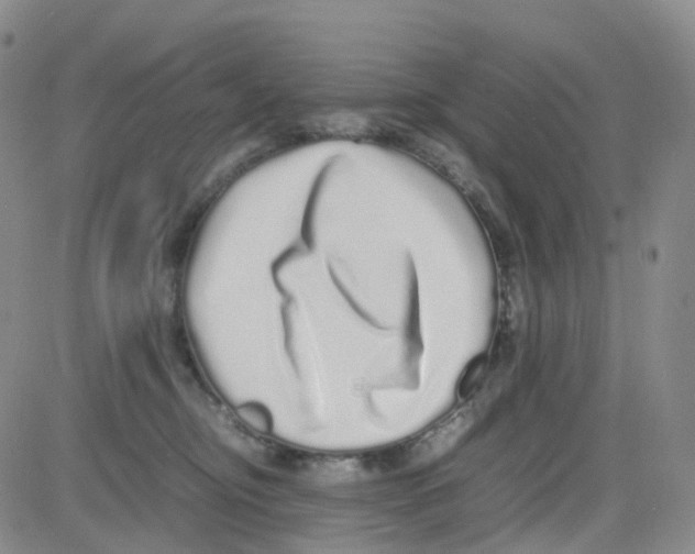 X0000082740374200702240019