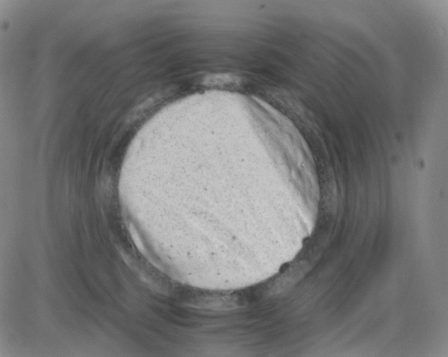 X0000082740375200702240019