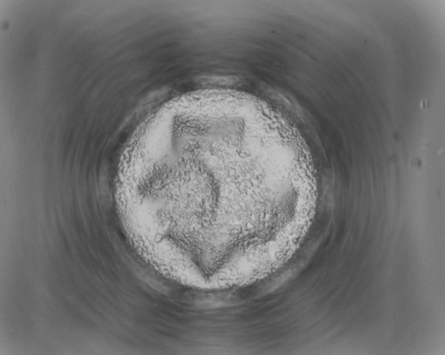 X0000082740377200702240019