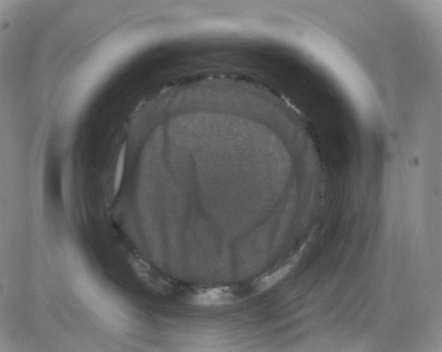 X0000082740382200702240019