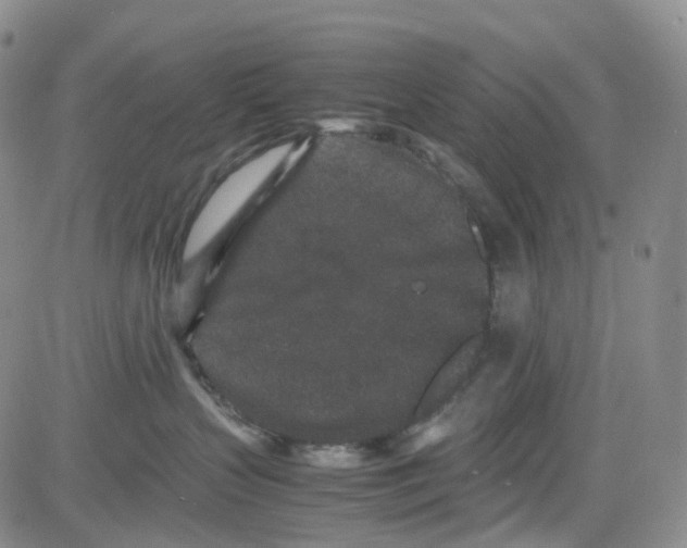 X0000082740383200702240019