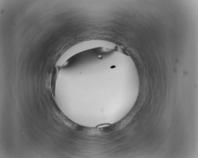 X0000082740384200702240019