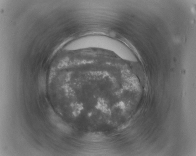 X0000082740386200702240018