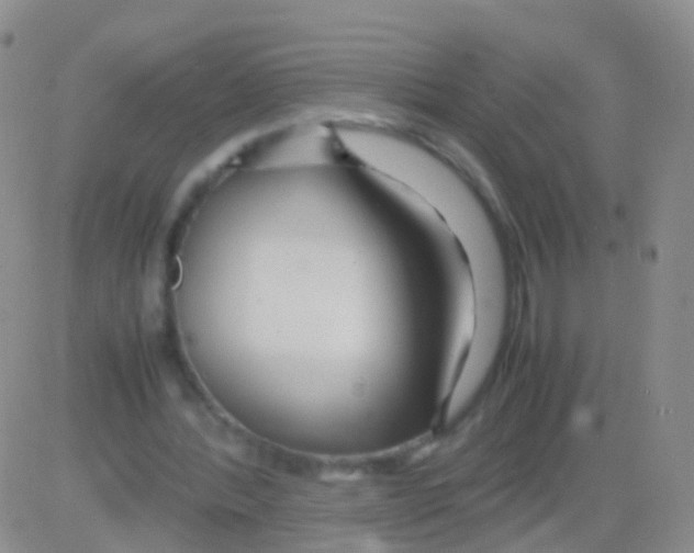 X0000082740388200702240018