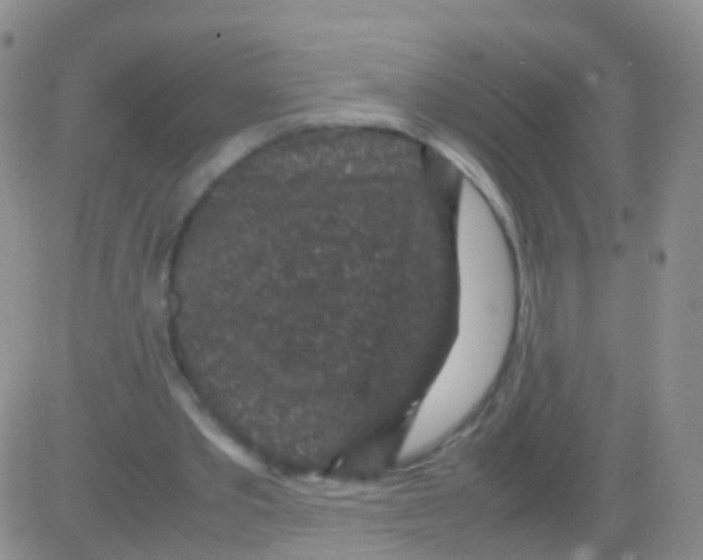 X0000082740389200702240018