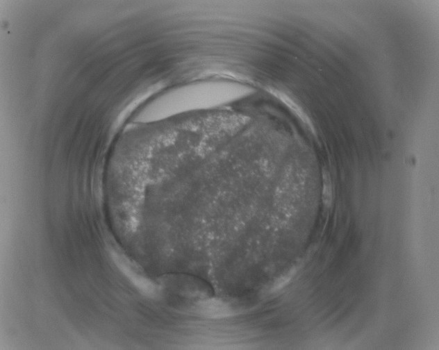 X0000082740390200702240018