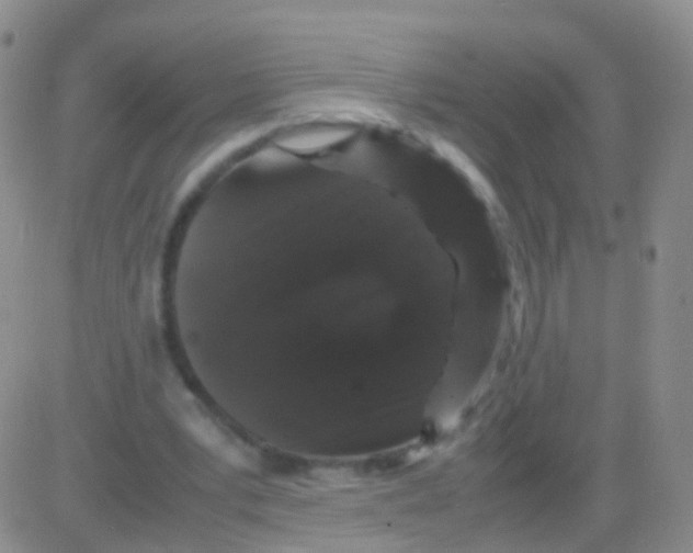 X0000082740391200702240018